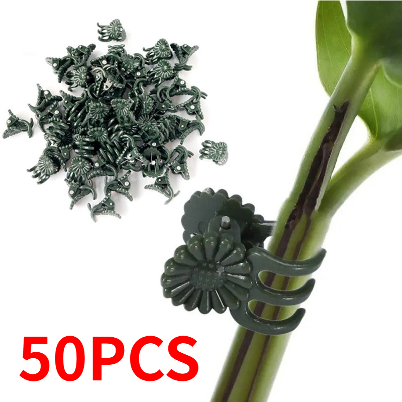 50 clips de 5 garras verde osc - Tie Clip Set reseña y precio