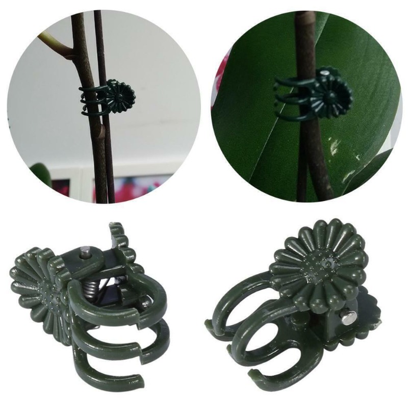 50 clips de 5 garras verde osc - Tie Clip Set reseña y precio