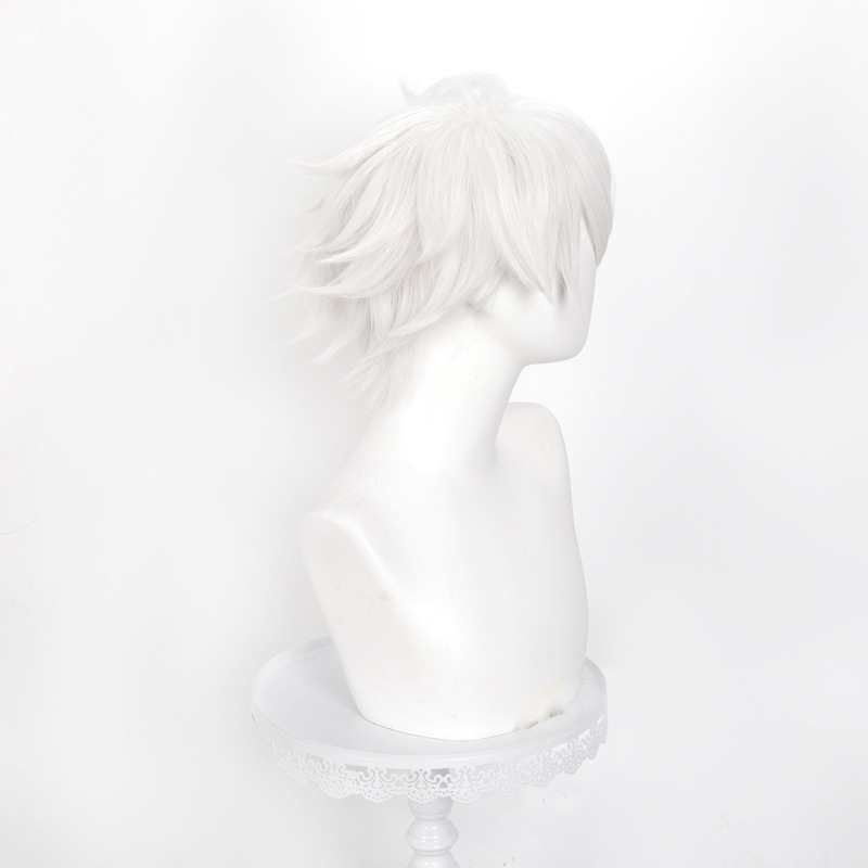 Peluca de cosplay de Anime Wit - Men Accessories In Silver reseña y precio