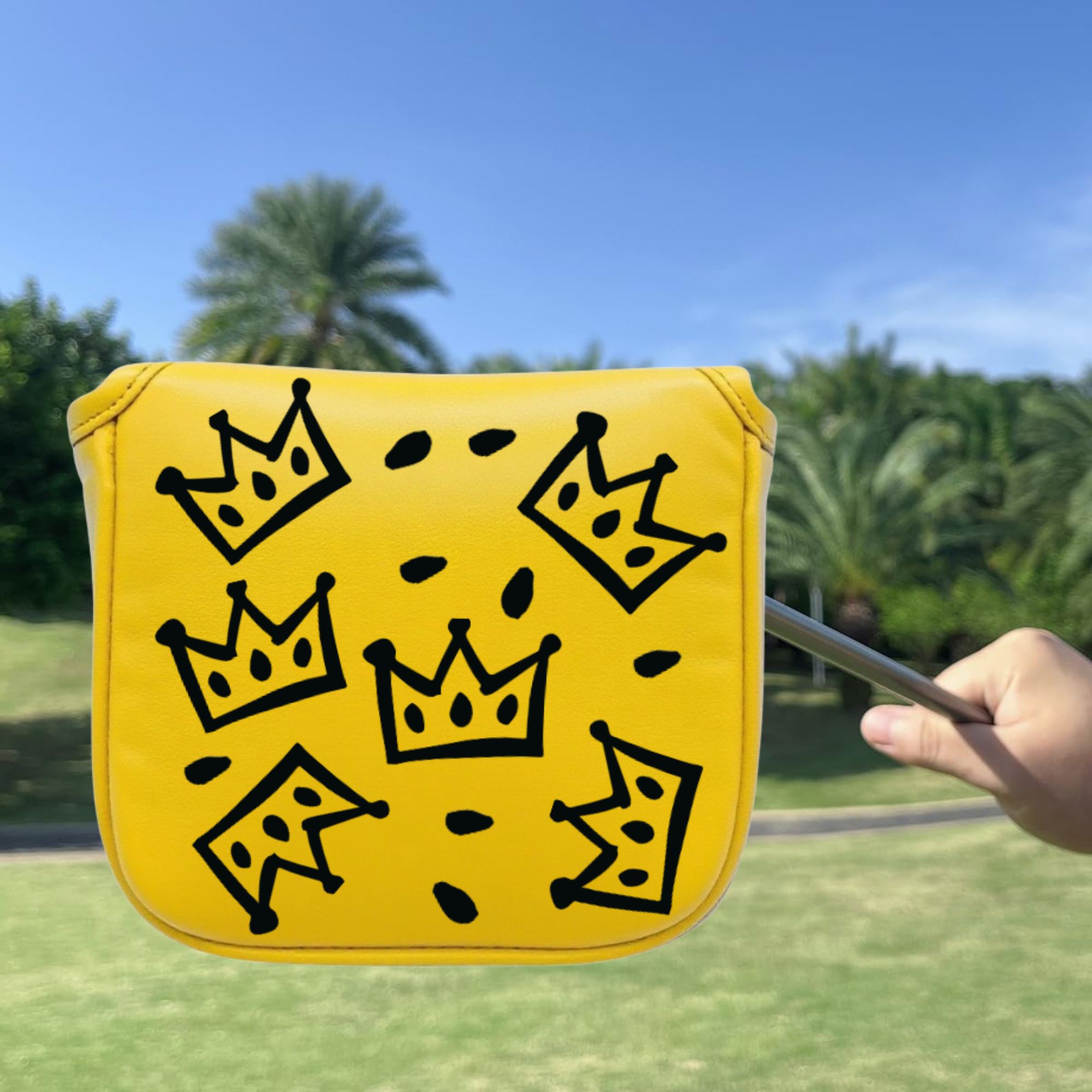Divertido palo de golf con dis - Men Accessories For Gift reseña y precio