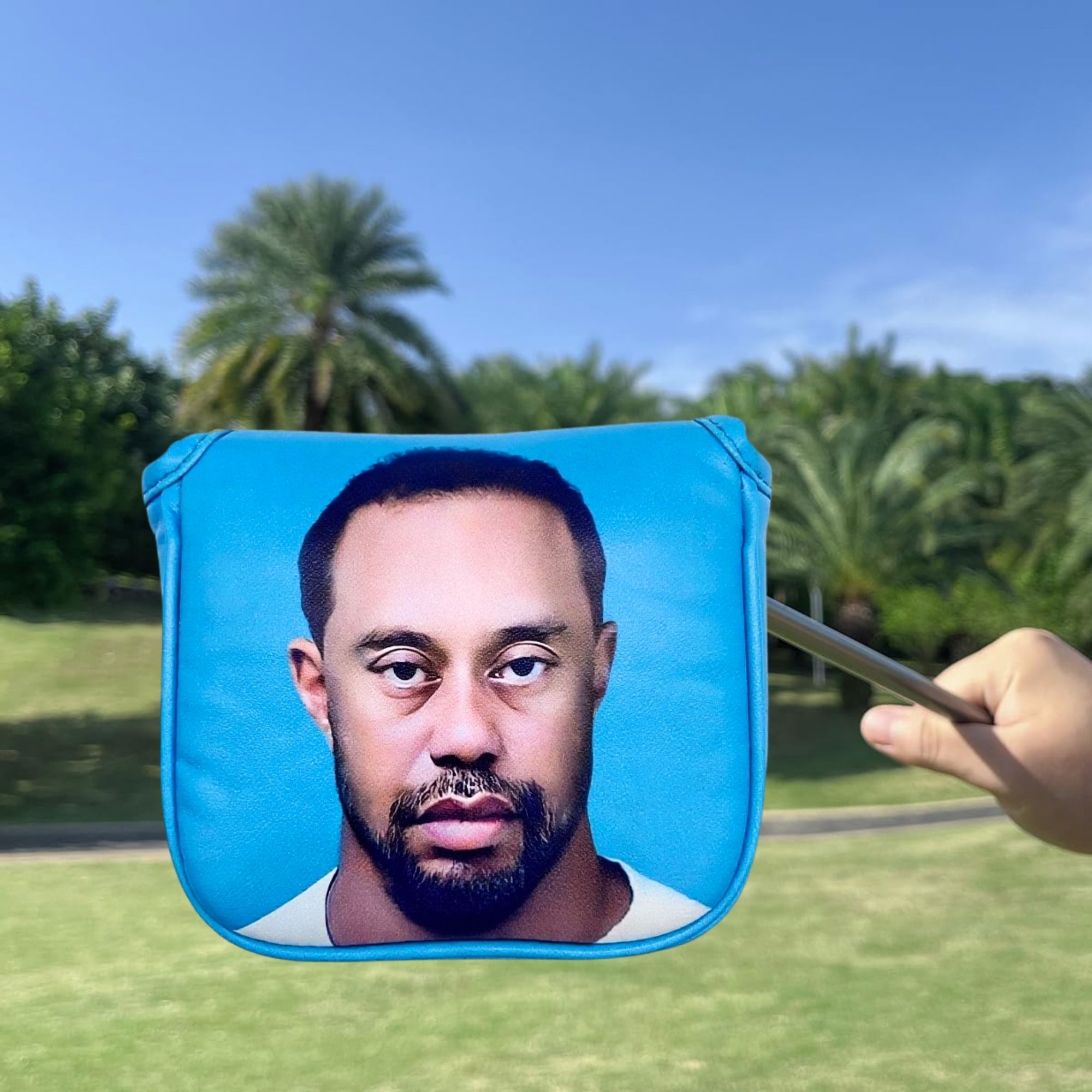 Divertido mazo de golf Putter  - Men Accessories For Gift reseña y precio